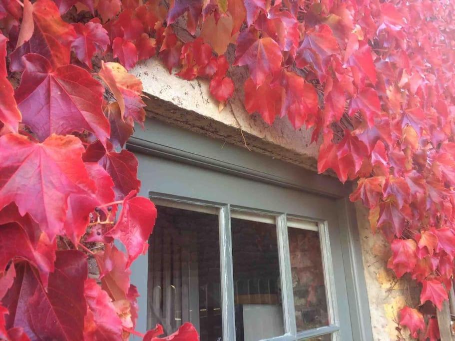 Blacksmith'S Barn - Cosy, Chilled & Dog Friendly. Wykeham  Zewnętrze zdjęcie